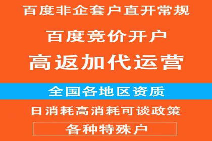 百度竞价与搜索引擎优化（SEO）结合的经典案例